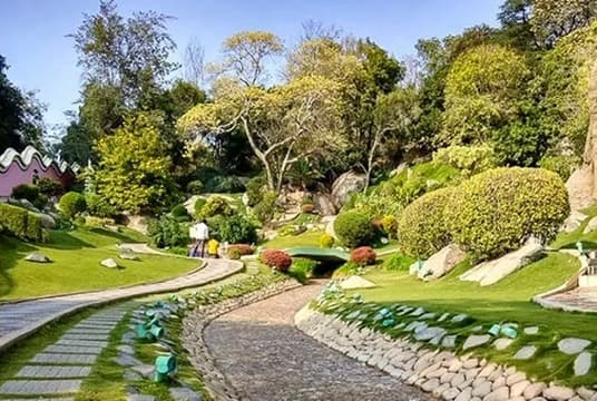 Rohini Park Revival after