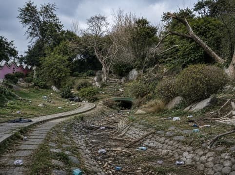 Rohini Park Revival before